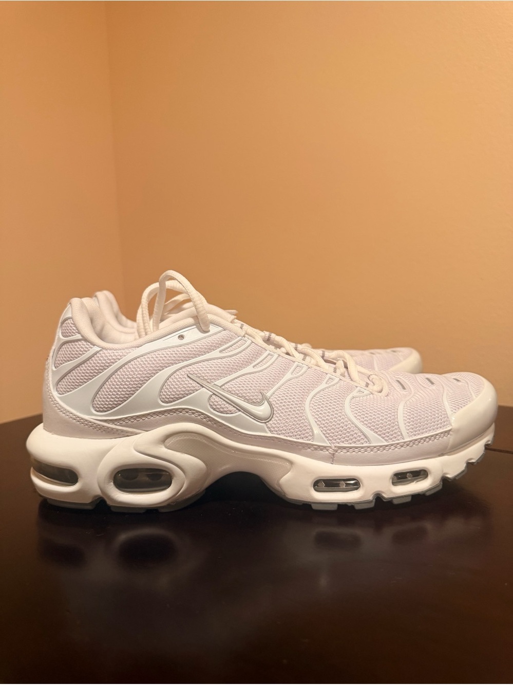 Nike Air Max Plus White Size 9, Size 10